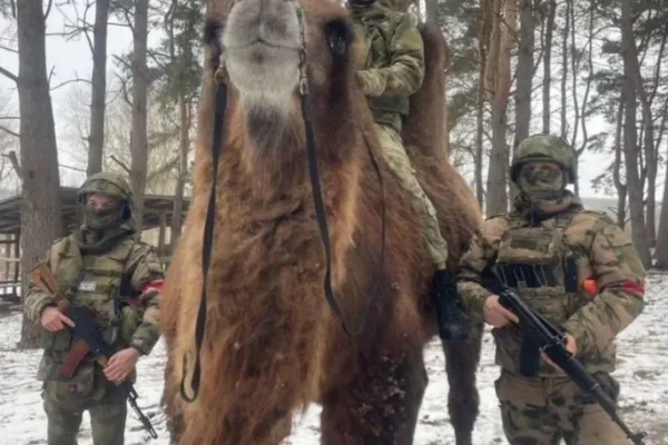 Russian Army