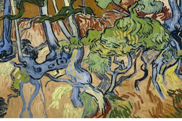 Tree roots
