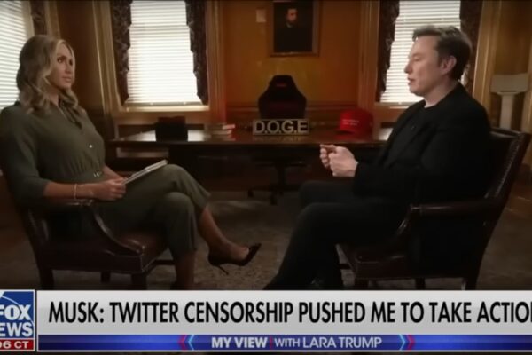 Musk-Fox