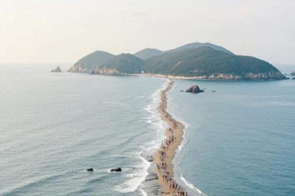 Път по средата на море