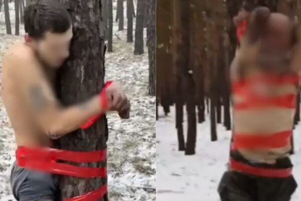 Жестокост