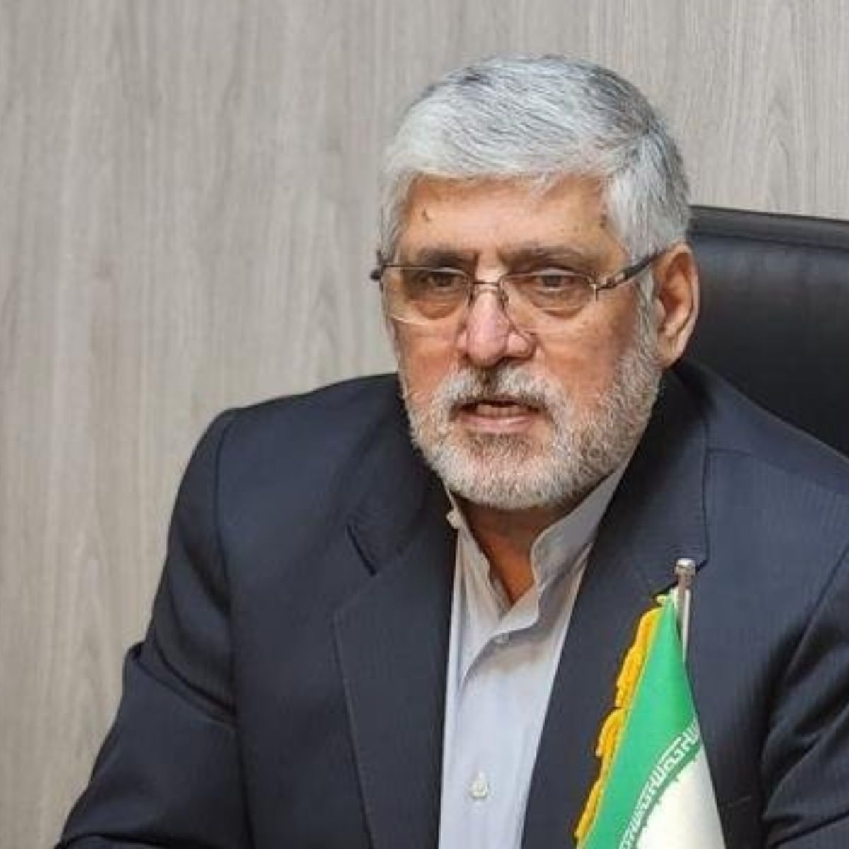 Мохамад Реза Шейбани